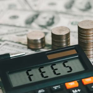 Fee rise of UK&nbsp;visas